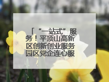 “一站式”服务！平顶山高新区创新创业服务园区党企连心服务中心揭牌
